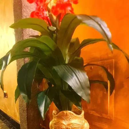 Botticelli Albavilla