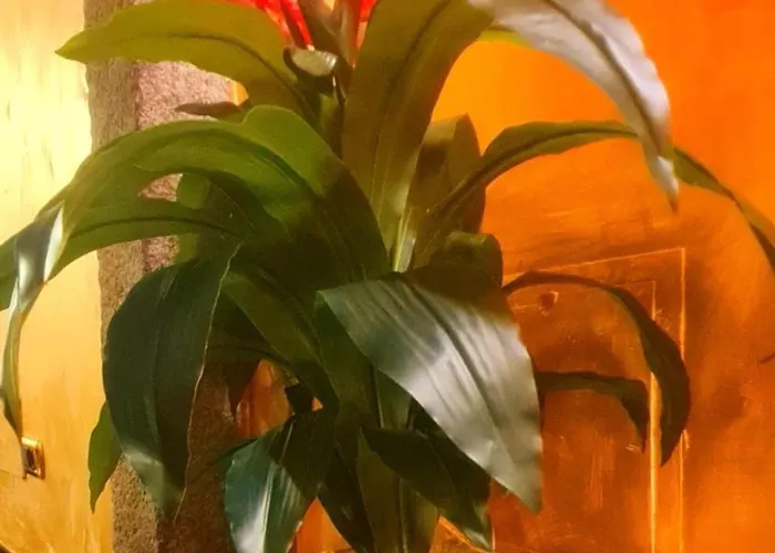 Botticelli Albavilla