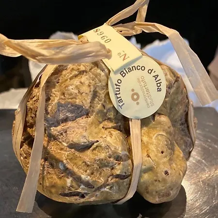 Botticelli Timebasishotel Albavilla